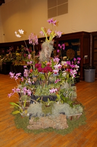 American Orchid Society Show Trophy ST/AOS 85 pts. No. 2